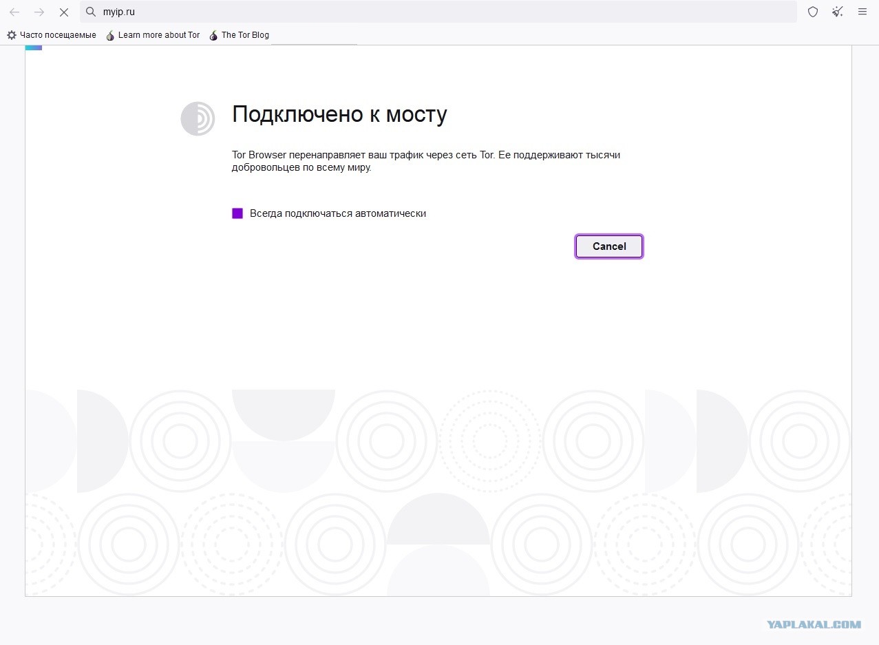 Пользователь не найден кракен что делать