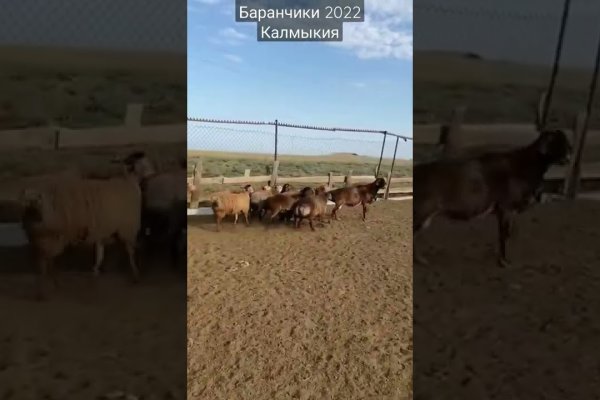 Кракен сайт как зайти