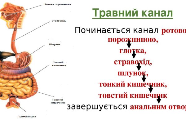 Кракен маркетплейс создатель